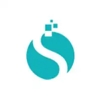 SoftStandard Solutions logo
